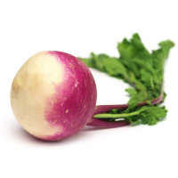 Turnip شلجم Half Kg