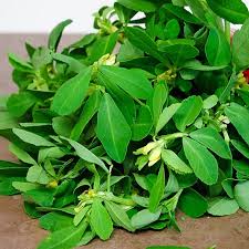 Green Methi half KG