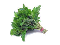 Mint 1-Bunch پودینہ