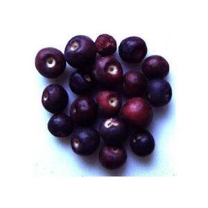 Falsa 250gram(1/4 kg)