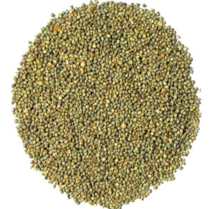Bajra Speical 500Gram