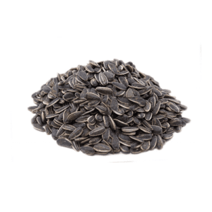 Sunflower Seeds with Shell 100 gm