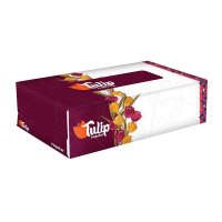 Tulip Regular Facial Tissue 160-Sheets