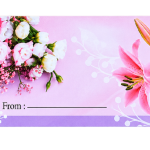 ENVELOPS 7X4 80 GSM (MONEY ENVELOPE)