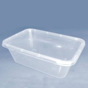 Disposable Plastic Boxes 750ml